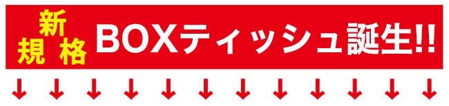 新規格 BOXティッシュ誕生