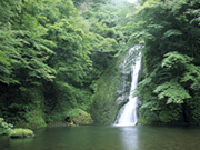 ストーンペーパー 水